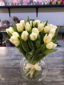 Букет из 25 белых тюльпанов с ленточкой
