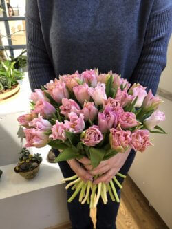 Букет из 35 розовых пионовидных тюльпанов