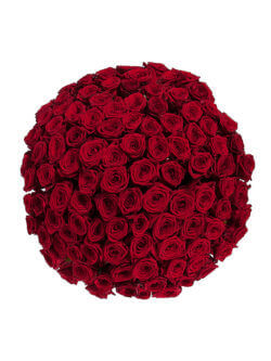 101 красная роза 70 см 2