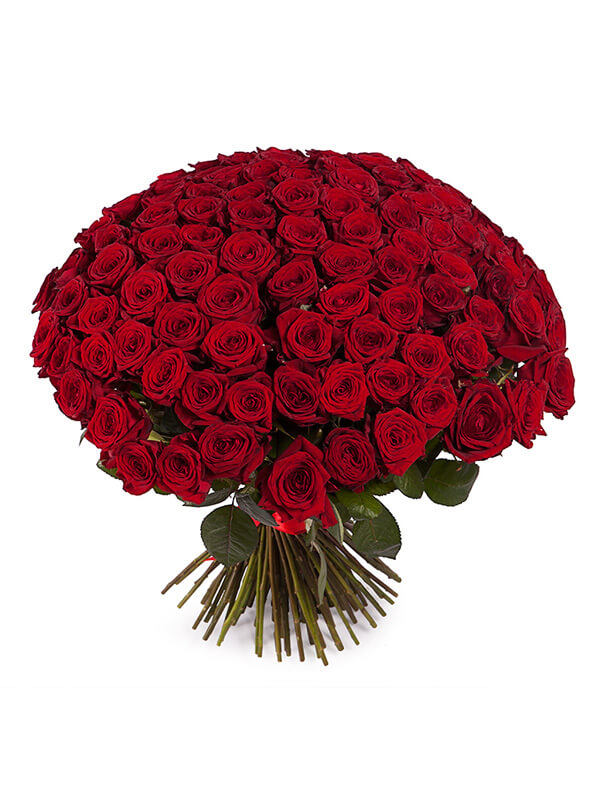 101 красная роза 70 см