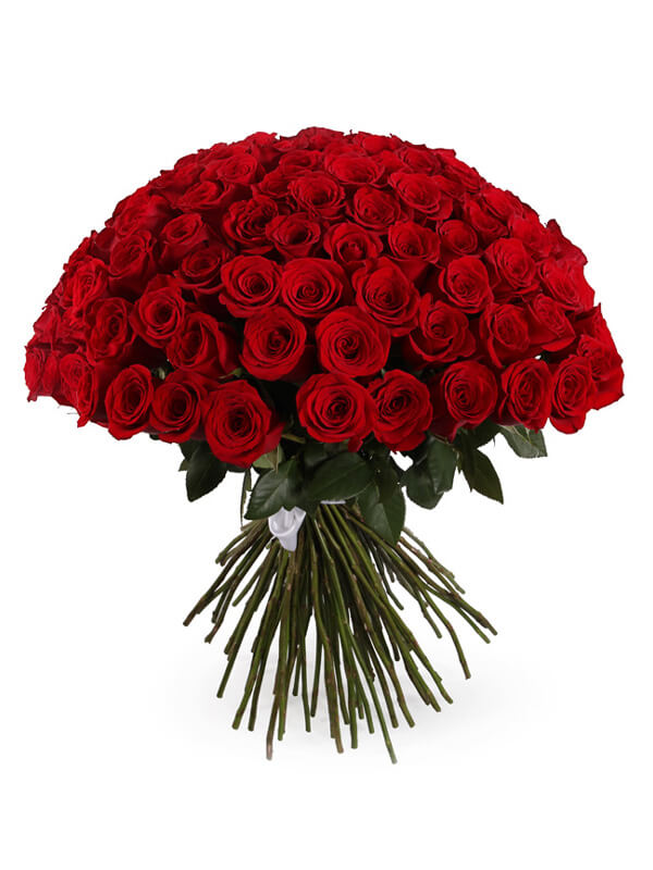 Букет из 101 красной розы Фридом 60 см (Эквадор) Premium купить в Твери по  цене 20200 рублей | Камелия