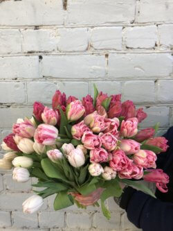 Букет розовых и белых пионовидных тюльпанов