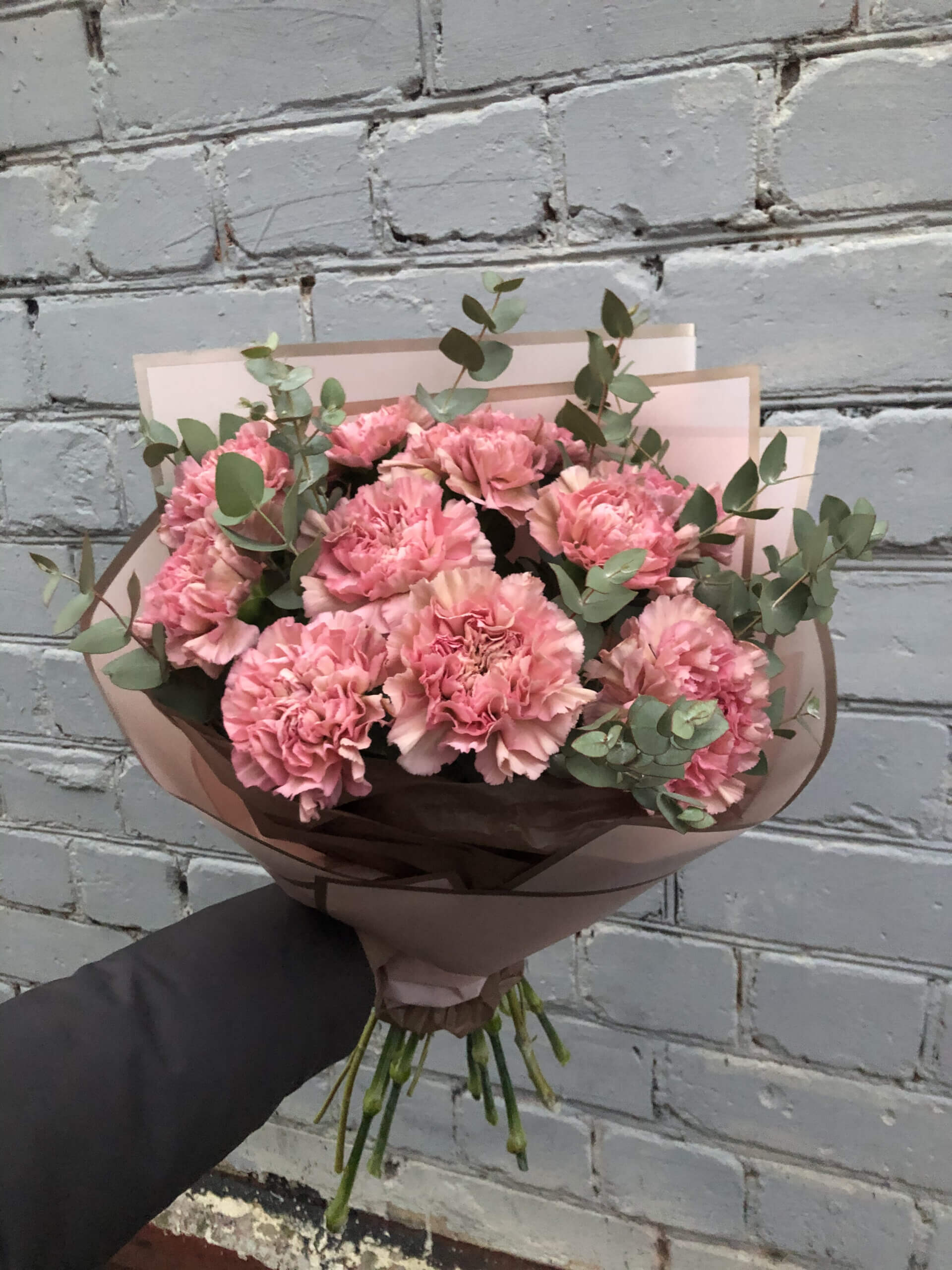 Букет из 11 розовых сортовых гвоздик и эвкалипта в упаковке купить в Тверипо цене 2070 рублей
