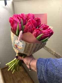 Букет из 11 тюльпанов сорта Марвелл Перрот в упаковке