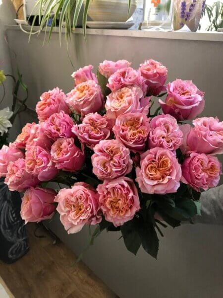 Букет роз сорта Майра Фламинго