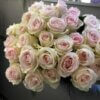 Букет роз сорта Рагаза