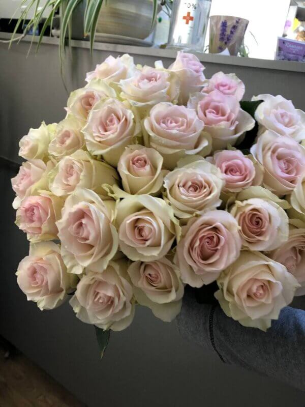 Букет роз сорта Рагаза